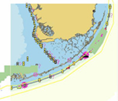 The Protecting Corals, Saving Ships project will create supplemental information, or MIOs, that can be layered on top of ENCs. The image above is a sample display showing areas of FKNMS coral reefs depicted by Coral Reef MIOs. The right portion of the display shows the MIOs layered over an ENC. 