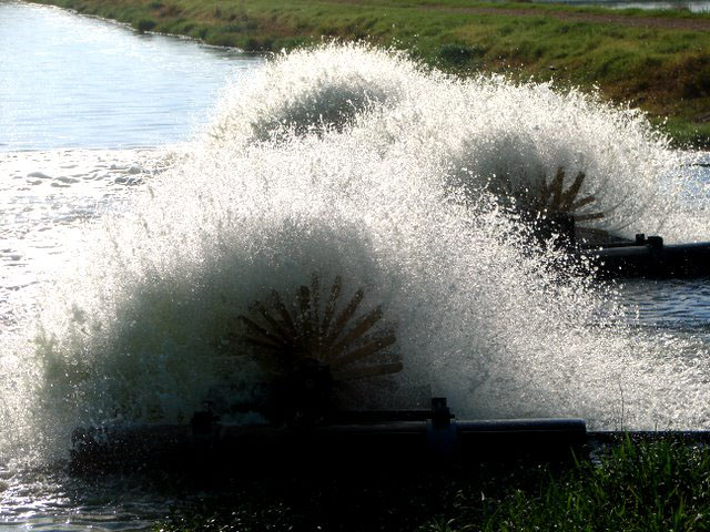 Aerators on the ponds