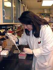 Judy Gust (USGS) preparing samples
Melanie Wike/NPS