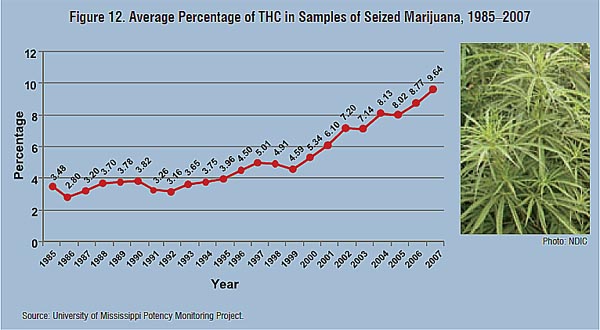 Graph showing the average percentage of THC in samples of seized marijuana for the years 1985-2007, broken down by year.