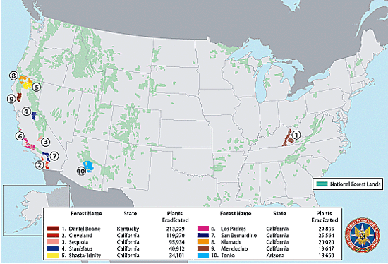 Map of the U.S. showing the top ten national forests from which marijuana was eradicated in 2003.