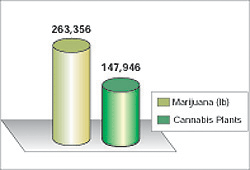 Chart showing 263,356 pounds of marijuana and 147,946 cannabis plants seized from Department of the Interior lands in 2003.
