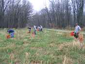 Tree planting crew on Arbor Day 2007. 
- FWS photo by Steve Kahl