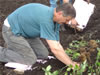 AgVANTAGE stakeholder planting blueberries in his newly established berry orchard