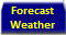 Forecast weather briefing