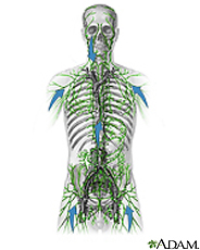Illustration of the lymphatic system