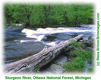 Sturgeon River, Michigan