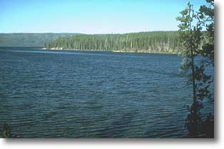 Shoshone Lake ripples under the influence of a gentle breeze.