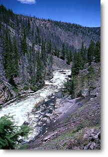 The Firehole River is world famous among anglers for its pristine beauty and healthy brown, brook and rainbow trout.