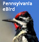 Get involved with Pennsylvania birding.