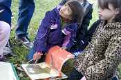 Lee Expressive Arts students use books with leaf and fruit clues to identify native Missouri trees
-FWS photo by James Maritz