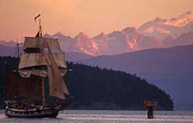 You never know what you'll see in Washington Waters - sailing ships, orca, seals, porpoises!