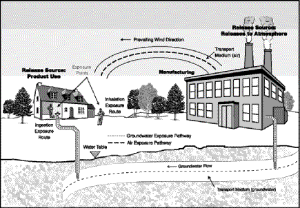 Figure 5.1-1 The chemical and physical properties that will influence each of the processes that determines environmental exposure and hazard.