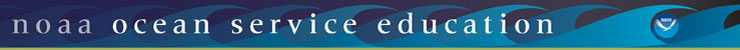 Ocean Education banner