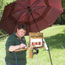 Artist Lou Hoover is painting outside, standing using a small easel, with a maroon umbrella for shade, on a green grassy hillside