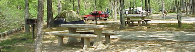 shady campsite with concrete picnic table in the foreground, tan tent and vehicles in background