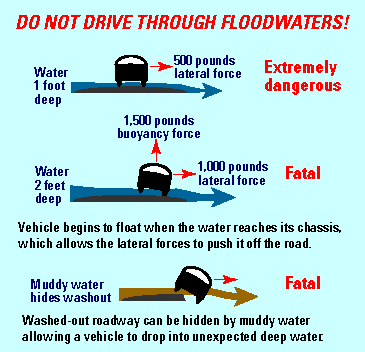 cartoon advising not to drive through floodwaters.
