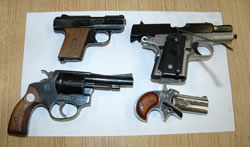 photo of the four seized guns