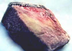 Contaminant Analyses:  A full thickness blubber sample of a reproductive female Southern Resident killer whale that stranded near Long Beach, WA on April 15, 2002.