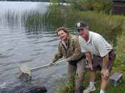 A tribal biologist and Service employee Dan Kumlin stock lake sturgeon .
- FWS photo 