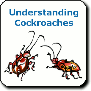 Image of roaches