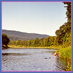 A view of the Delaware River from Riverview PA