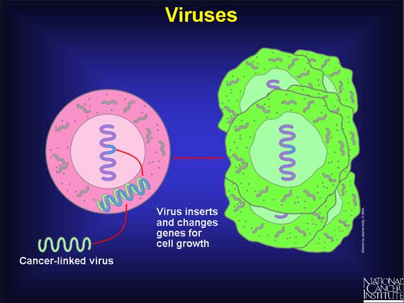 Viruses