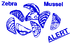 Zebra Mussel Alert