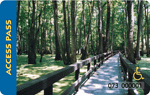 a covered forest spotted in shadows and sunbeams, a nice walk way streches out leading through