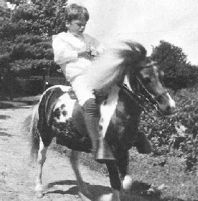 Quentin Roosevelt, the president's youngest son, rides his pony Algonquin around Sagamore Hill.
