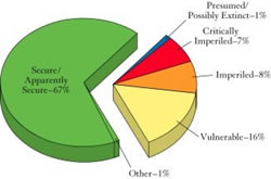 US Species at Risk: About one-third of U.S. species appear to be at risk due to their rarity or threats from human activities. This figure is based on assessments of more than 20,000 species representing the best known groups of U.S. plants and animals, such as mammals, flowering plants, and butterflies.