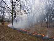 Monitoring the fire line during an oak savanna habitat restoration prescribed burn at Page Creek Natural Area. 
- FWS photo by Gary Van Vreede