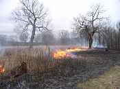 Oak savanna habitat restoration prescribed burn at Page Creek Natural Area.
- FWS photo by Gary Van Vreede