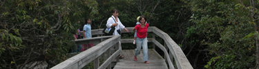 Group emerges from thick shrubbery and trees on Sunken Forest boardwalk.