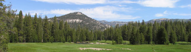 Soda Springs Meadow