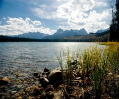 A lake with a rocky shore, and mountains in the distance