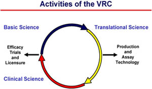 Illustration of activities of the VRC