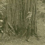John Muir at Muir Woods