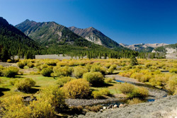 photo of mountain range with blue sky and small stream