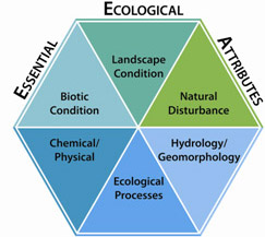 chart describing the essential ecological attributes