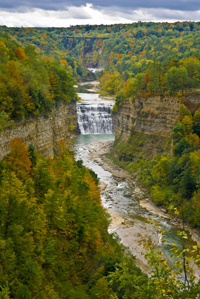 image of waterfall in a forested watershed