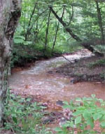 River impacted by acid mine drainage