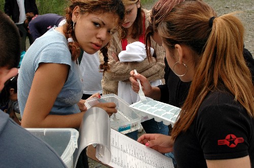 Young Minds at Work