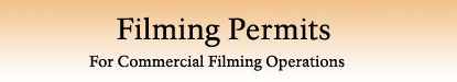 FilmingButton