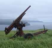 The largest intact collection of Japanese artillery pieces in the world is on Kiska Island. Photo Credit: Kent Sundseth/USFWS