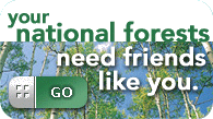 Friends of the Forest