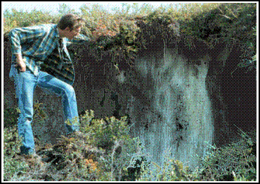 ice wedge larger than a man standing nearby - USFWS