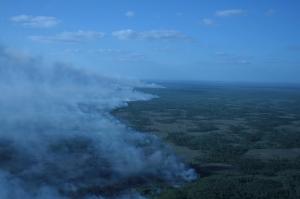 This image shows a shot from the air of the fire burning in Big Cypress National Preserve. It is burning through tall prairie grass and into strands of hardwood.