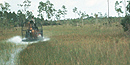 Airboat traveling through wet prairies.