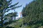 view of lighthouse through trees